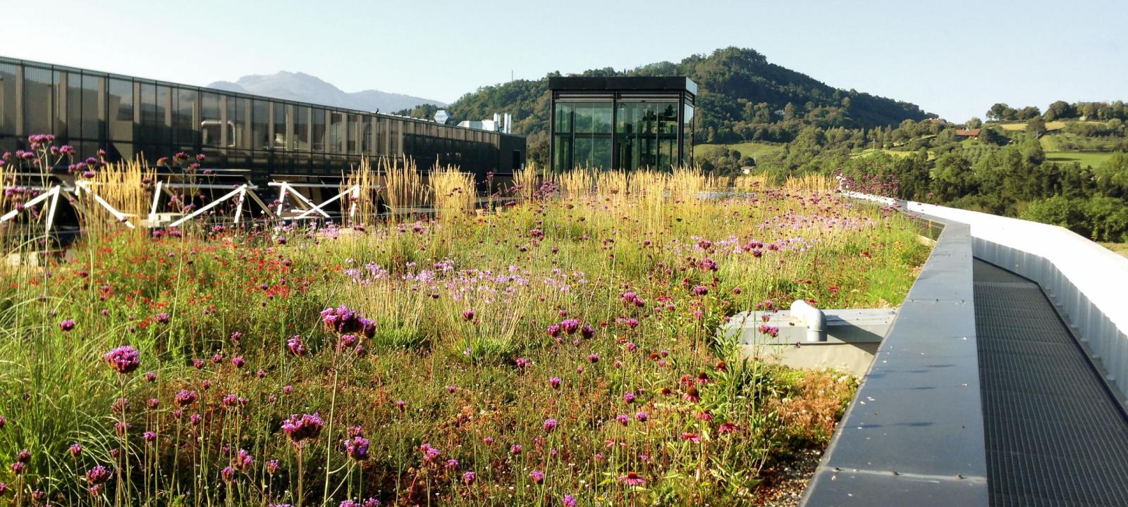 Green roof